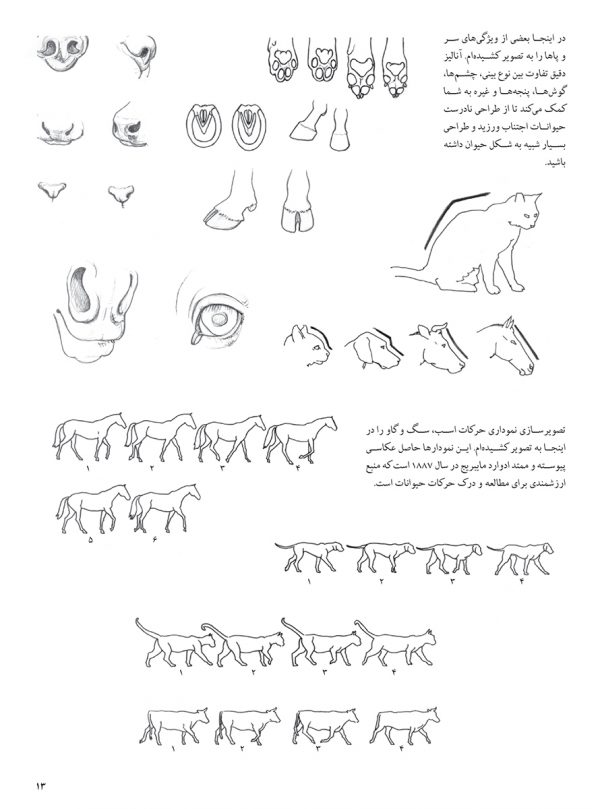 طراحی حیوانات