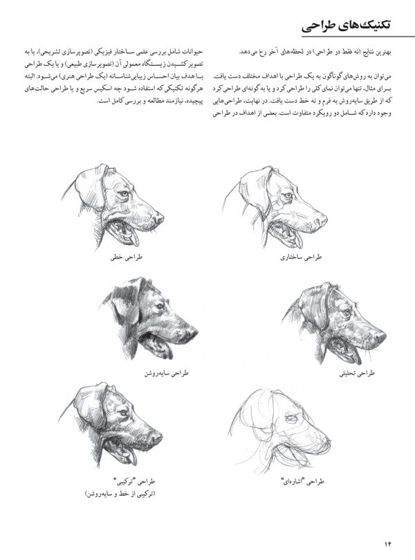 طراحی حیوانات