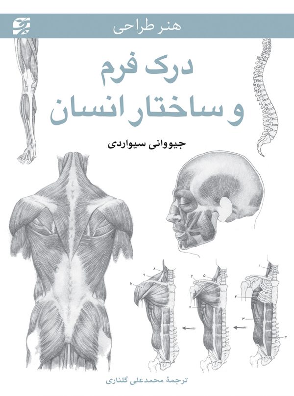 طراحی آناتومی بدن انسان