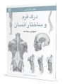 طراحی آناتومی بدن انسان
