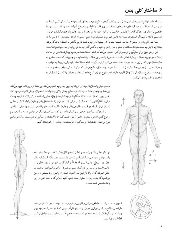 طراحی آناتومی بدن انسان
