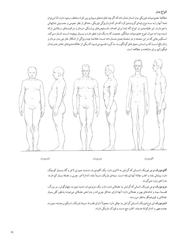 طراحی آناتومی بدن انسان