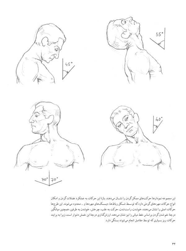 طراحی آناتومی بدن انسان